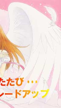 Amazon | 愛蔵版 アンジェリーク トロワ 初回限定版パッケージ