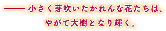 ——小さく芽吹いたかれんな花たちは、やがて大樹となり輝く。