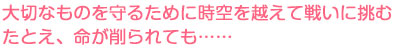 大切なものを守るために時空を越えて戦いに挑む　たとえ、命が削られても……