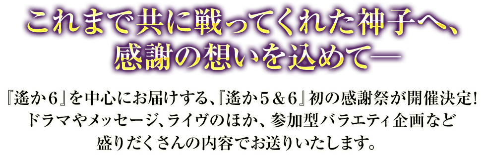 これまで共に戦ってくれた神子へ、感謝の想いを込めて─