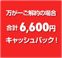줴ξ硡6,600ߥåХå