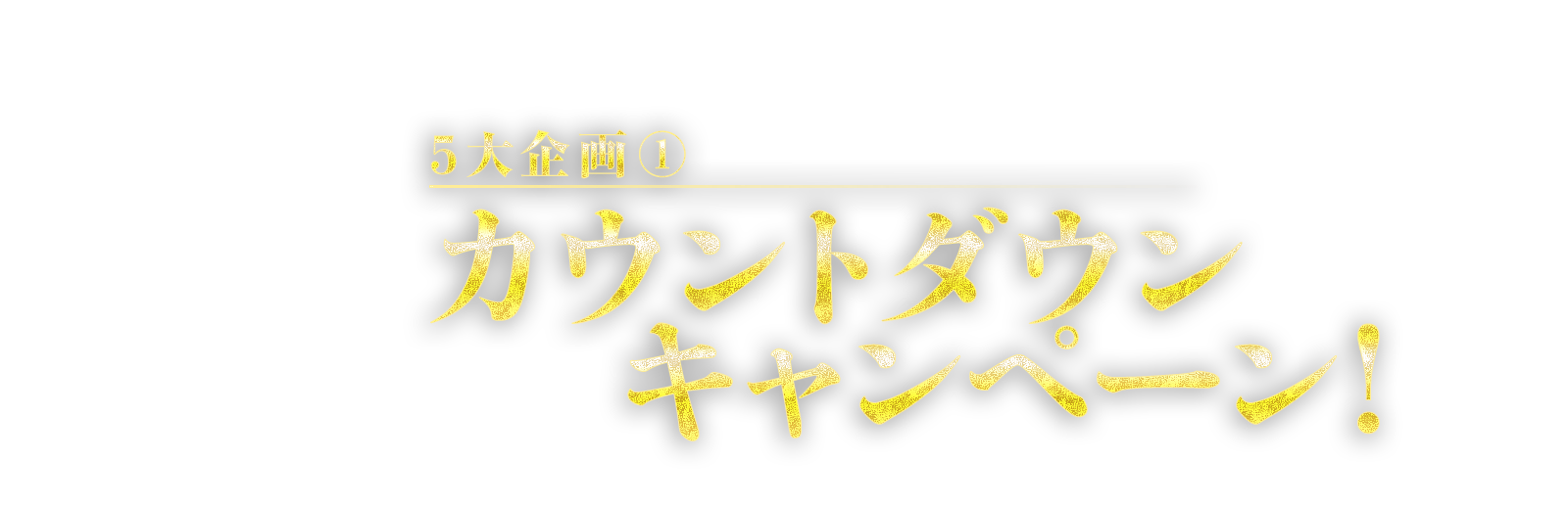 5大企画①　カウントダウンキャンペーン