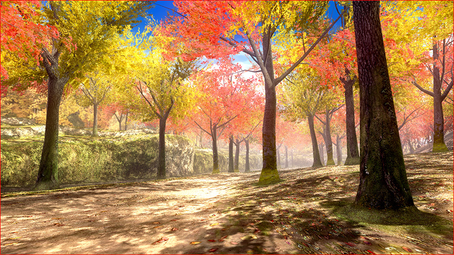 pic_forest_01.jpg