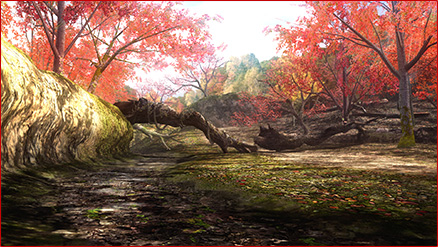 pic_forest_02.jpg