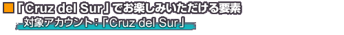 「Cruz del Sur」でお楽しみいただける要素
対象アカウント:「Cruz del Sur」