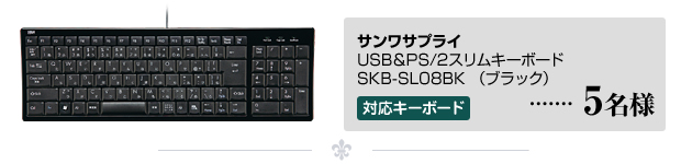 掠ץ饤 / USB&PS/2७ܡ SKB-SL08BKʥ֥å