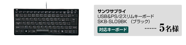 掠ץ饤 / USB&PS/2७ܡ SKB-SL09BKʥ֥å