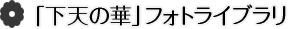 「下天の華」フォトライブラリ