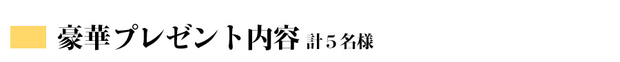 豪華プレゼント内容 計５名様