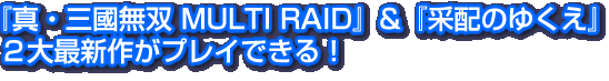 ؿԢ̵ MULTI RAID١غۤΤ椯٣ǿץ쥤Ǥ롪