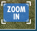 ZOOM IN