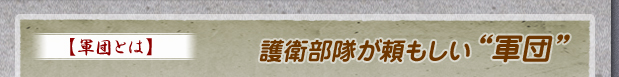 軍団とは