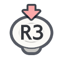R3
