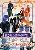 遙かなる時空の中で３ 運命の迷宮 コンプリートガイド