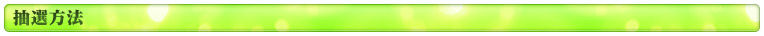 抽選方法