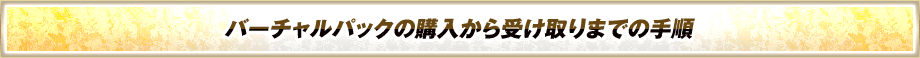 バーチャルパックの購入から受け取りまでの手順