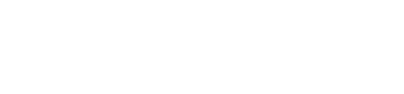 人と妖怪の間に生まれた主人公と、天下を狙う男、藤吉郎。二人で一つの名を名乗る、「秀吉」の物語。日本古来の多種多様な妖怪たちが登場するダークファンタジー要素と戦国時代末期の史実が融合した骨太なオリジナルストーリー。