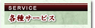 �Ƽ掠���ӥ�