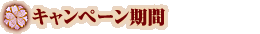 キャンペーン期間