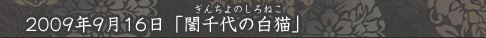 「誾千代の白猫」