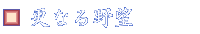 ʤ˾