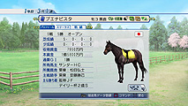 WPW2010画面3