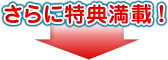 �������ŵ���ܡ�