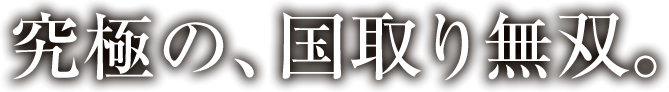 究極の、国取り無双。