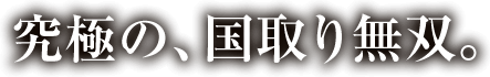 究極の、国取り無双。