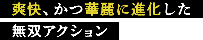 爽快、かつ華麗に進化した無双アクション