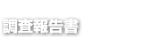 調査報告書