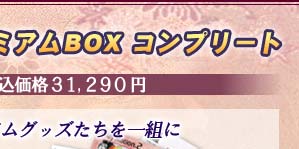 ʤ ץߥBOX ץ꡼