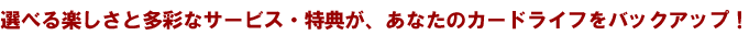 ���٤�ڤ�����¿�̤ʥ����ӥ�����ŵ�������ʤ��Υ����ɥ饤�դ�Хå����åס�