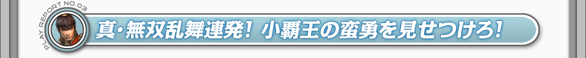 真・無双乱舞連発！　小覇王の蛮勇を見せつけろ！