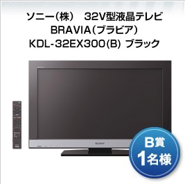 ソニー液晶テレビ　BRAVIA（ブラビア）　KDL-32EX300(B)　ブラック