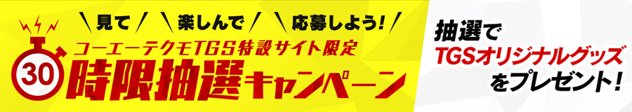 時限抽選キャンペーン