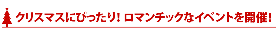 クリスマスにぴったり！ロマンチックなイベントを開催！