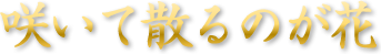 咲いて散るのが花