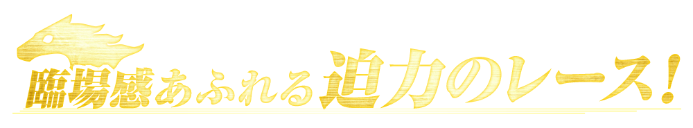 臨場感あふれる迫力のレース！