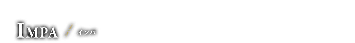 ハイラル王国親衛隊 隊長 インパ