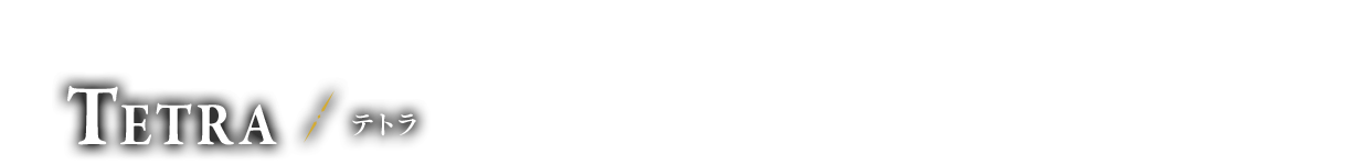 海賊団のリーダー テトラ