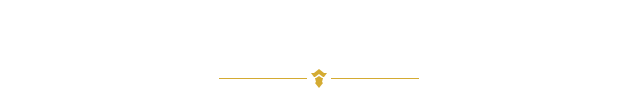 ブーメラン