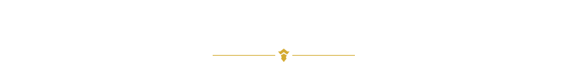 レベルアップで攻撃力と体力上限が成長