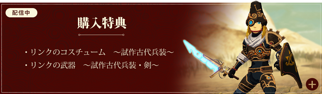購入者特典（2021年5月28日（金）配信予定：リンクのコスチューム1点/リンクの武器1点