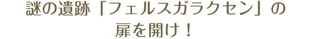 謎の遺跡「フェルスガラクセン」の扉を開け！