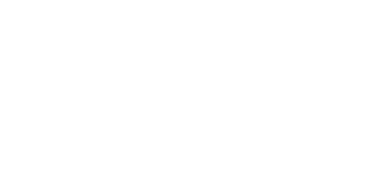 STORY