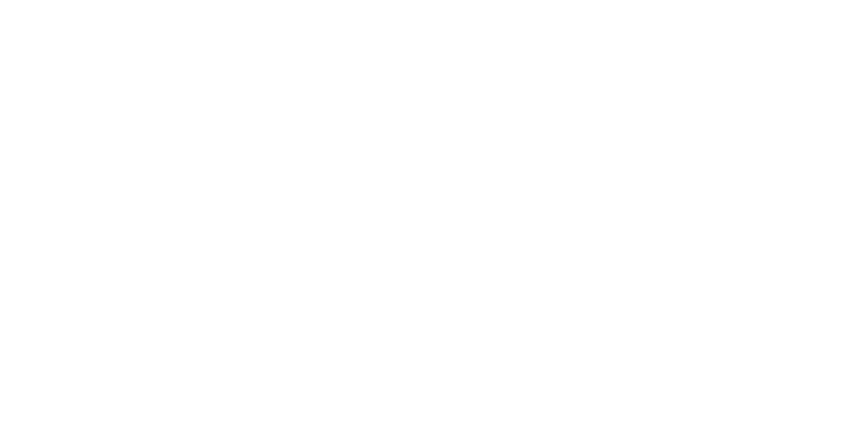 STORY