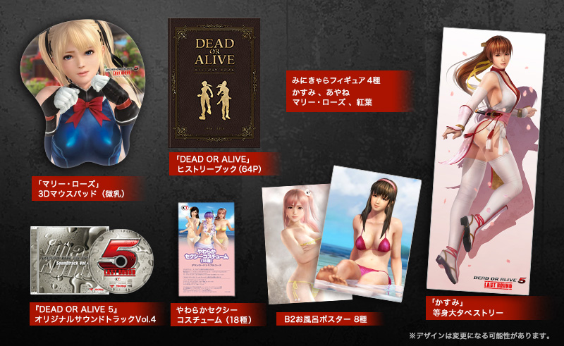 DEAD OR ALIVE 5 Last Round