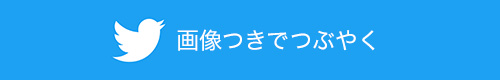 画像つきでつぶやく