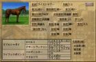 WP3pk画面3